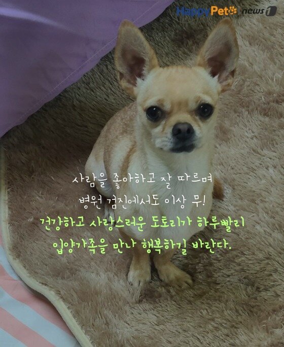 본문 이미지 -  