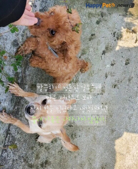 본문 이미지 -  