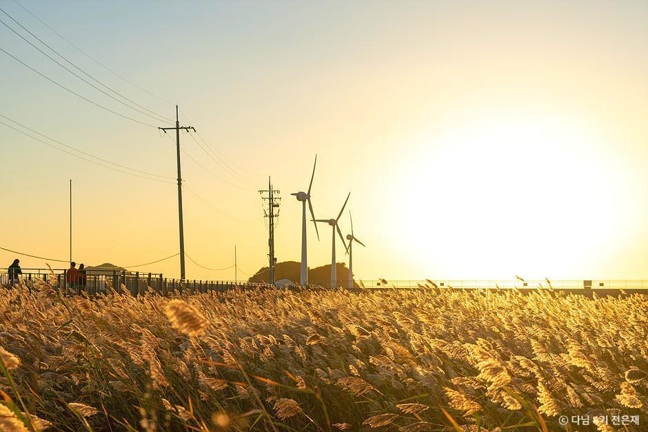 본문 이미지 - 탄도항(대한민국 구석구석 제공)