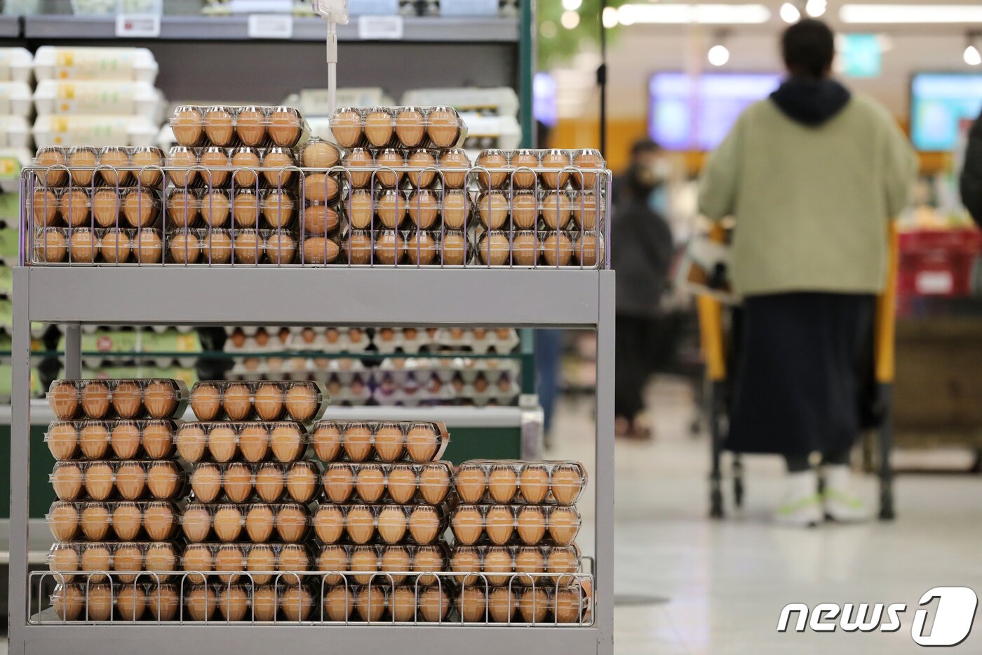 본문 이미지 - 올겨울 고병원성 조류인플루엔자(AI)의 확산세가 전국 각지로 퍼지면서 달걀 가격도 오름세를 보이고 있다. 2022.12.5/뉴스1 ⓒ News1 이승배 기자