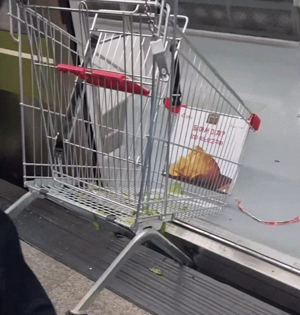 본문 이미지 - 서울지하철 7호선 노원역에서 열차와 승강장 사이에 쇼핑카트가 낀 모습. (인스타그램 갈무리)