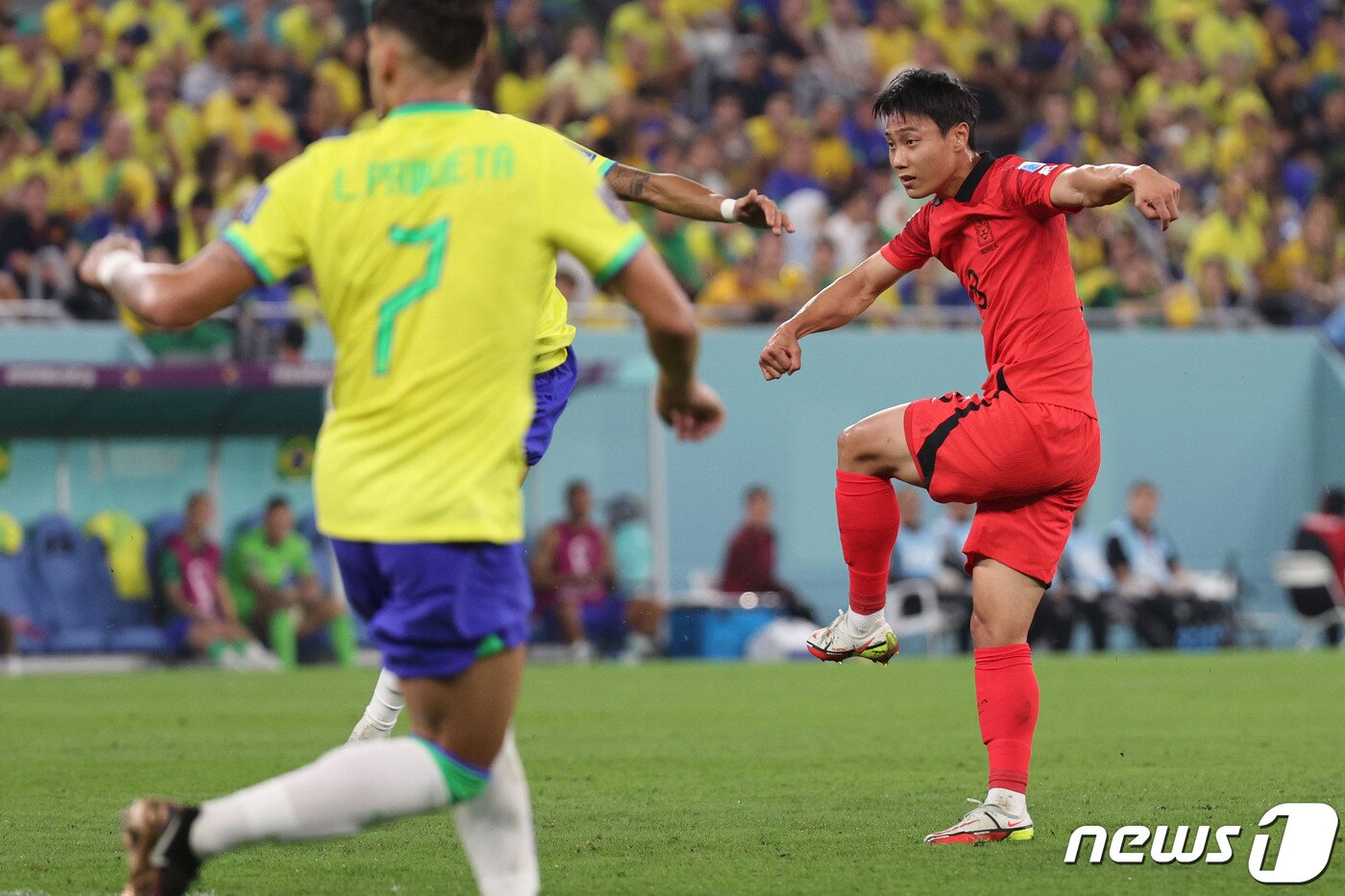 본문 이미지 - 5일 오후(현지시간) 카타르 도하 스타디움974에서 열린 2022 카타르 월드컵 16강 대한민국과 브라질의 경기에서 대한민국 백승호가 만회골을 성공시키고 있다. 2022.12.6/뉴스1 ⓒ News1 이광호 기자