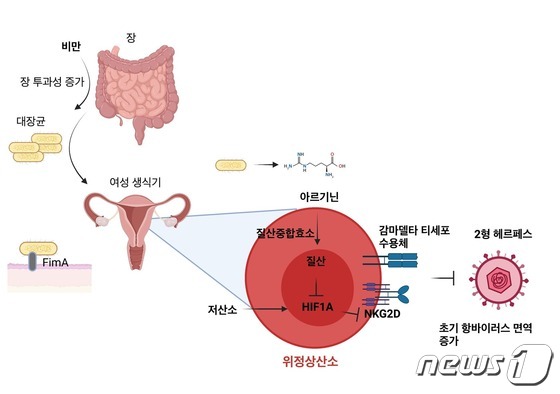 Another “Obesity Paradox” Outcomes… Suppression of Infection by Increasing Resistance to STDs