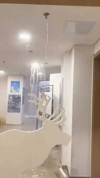 본문 이미지 - 베이징 동계올림픽 핀란드 선수단이 머무는 곳으로 추정되는 선수촌에서 누수가 발생했다. (트위터 갈무리) ⓒ 뉴스1