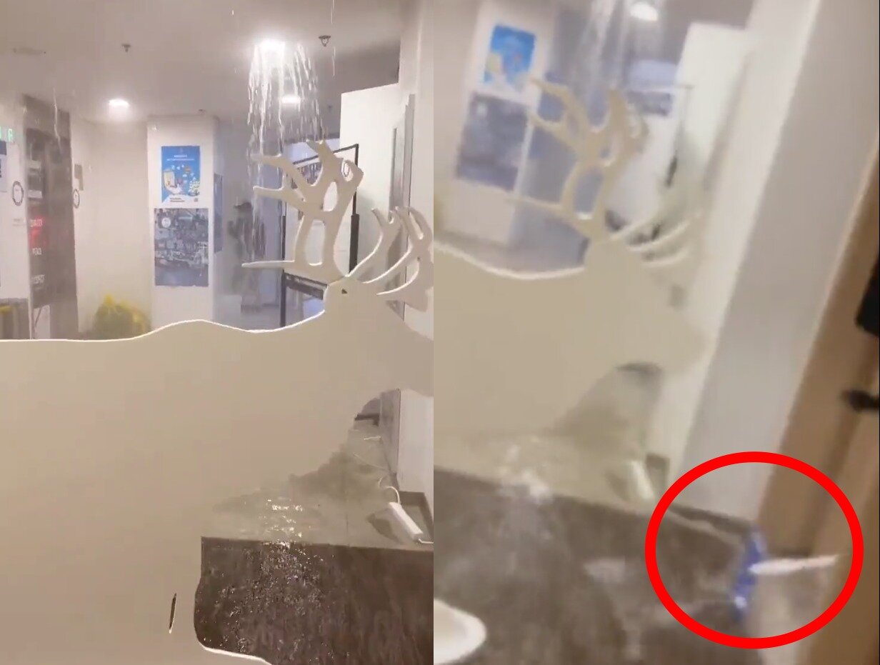 본문 이미지 - (트위터 갈무리) ⓒ 뉴스1