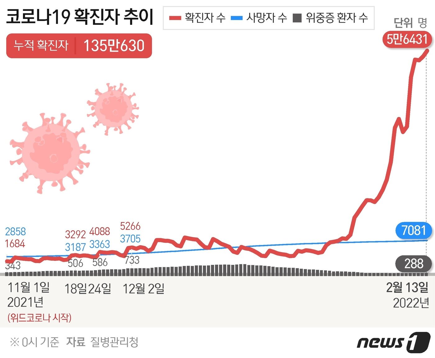 본문 이미지 - ⓒ News1 이지원 디자이너