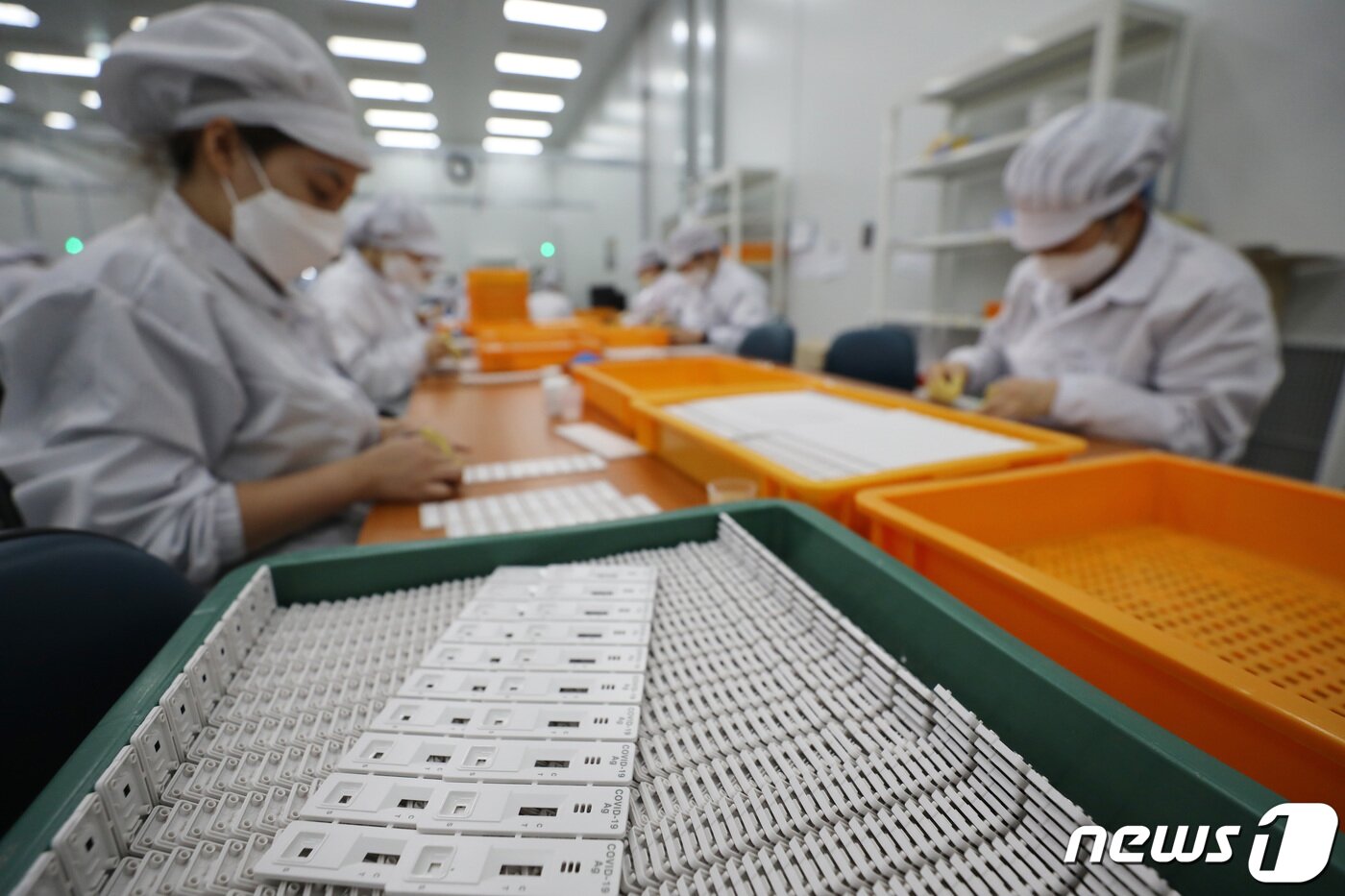 본문 이미지 - 경기도 수원시 권선구 래피젠 수원공장에서 직원들이 코로나19 자가검사키트를 생산하고 있다. 2022.2.14/뉴스1 ⓒ News1 김영운 기자