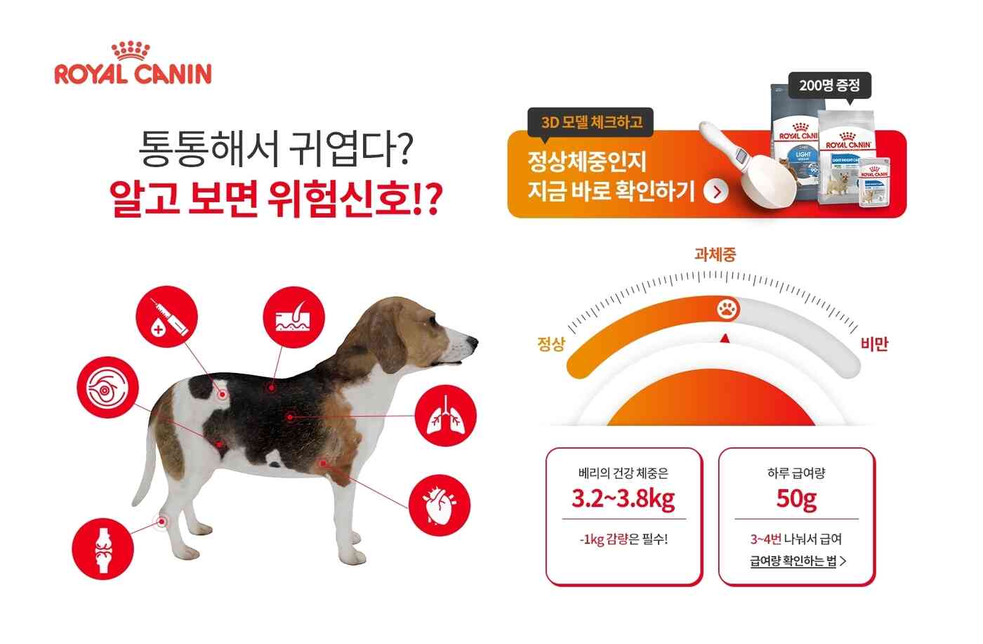 로얄캐닌 체중관리 캠페인 사이트에서 3D 입체모델로 적정체중과 체중관리 정보를 알아보고 다양한 이벤트 참여를 할 수 있다.(로얄캐닌 제공) © 뉴스1