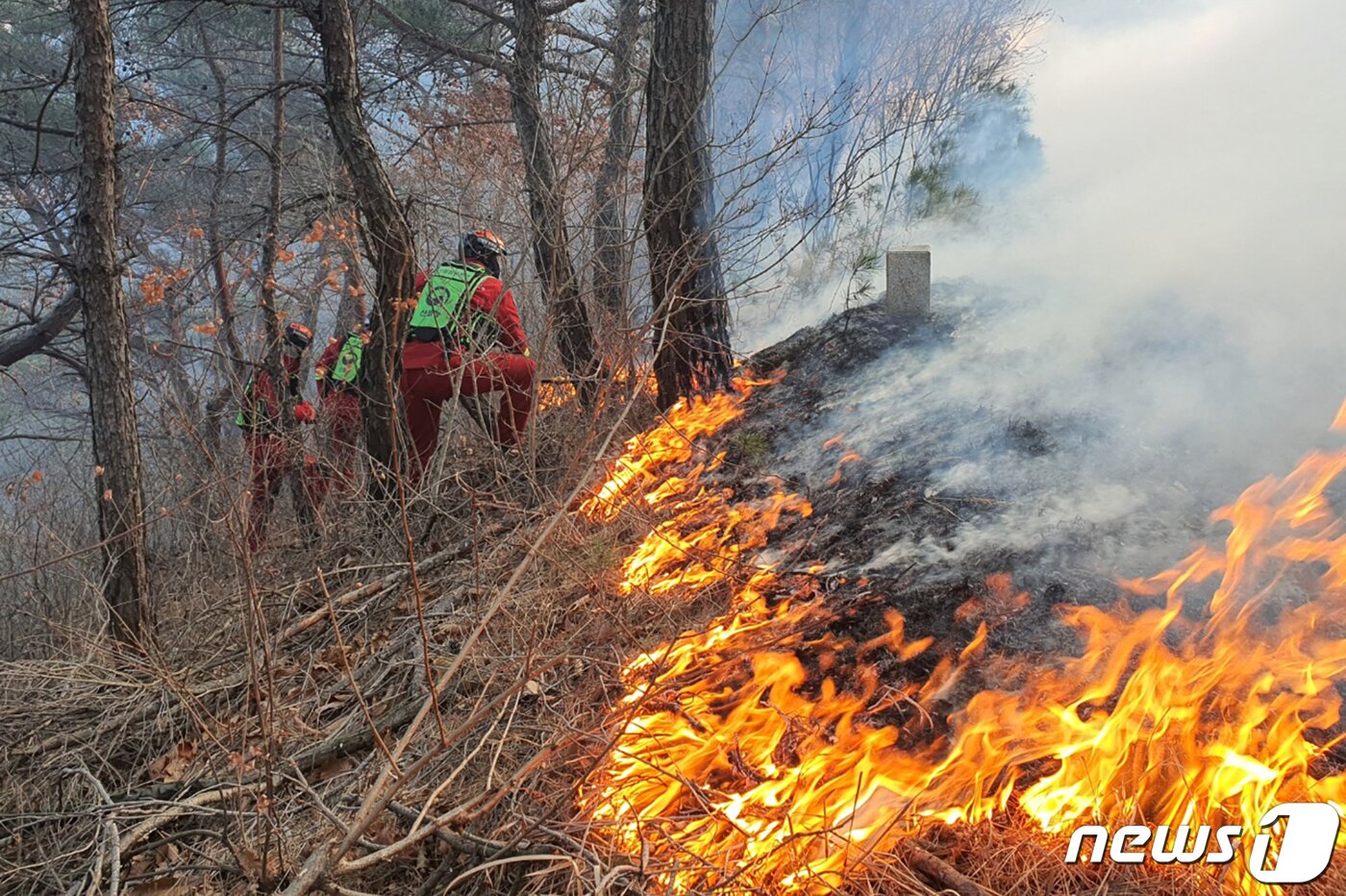 본문 이미지 - 산림청 산불특수진화대원들이 경북 영덕군 영덕읍 화수리 산불현장에서 진화작업을 하고 있다. 2022.2.17/뉴스1 ⓒ News1 최창호 기자