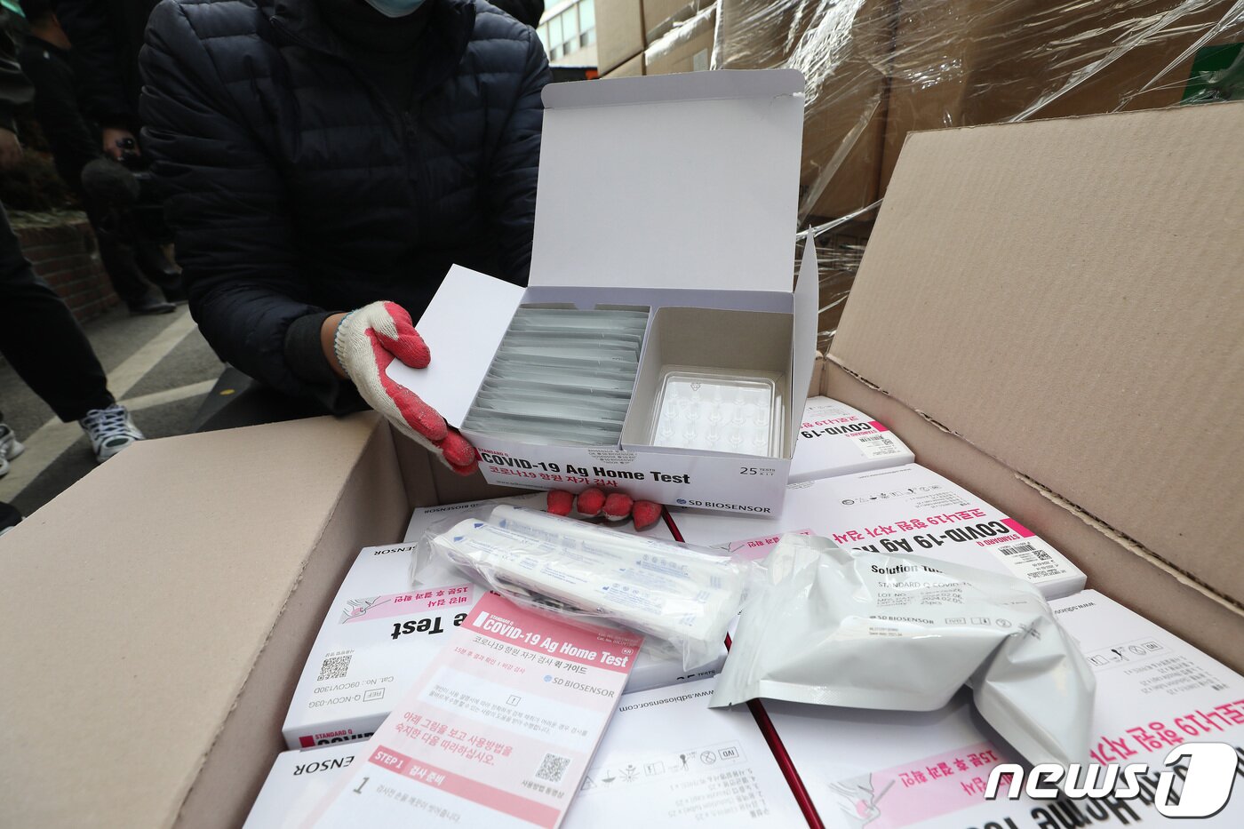 본문 이미지 - 18일 오후 서울 종로구 서울특별시교육청에 신속항원검사키트가 도착해 분배 작업을 하고 있다. 2022.2.18/뉴스1 ⓒ News1 임세영 기자