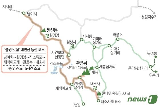 본문 이미지 - ⓒ 뉴스1 김초희 디자이너