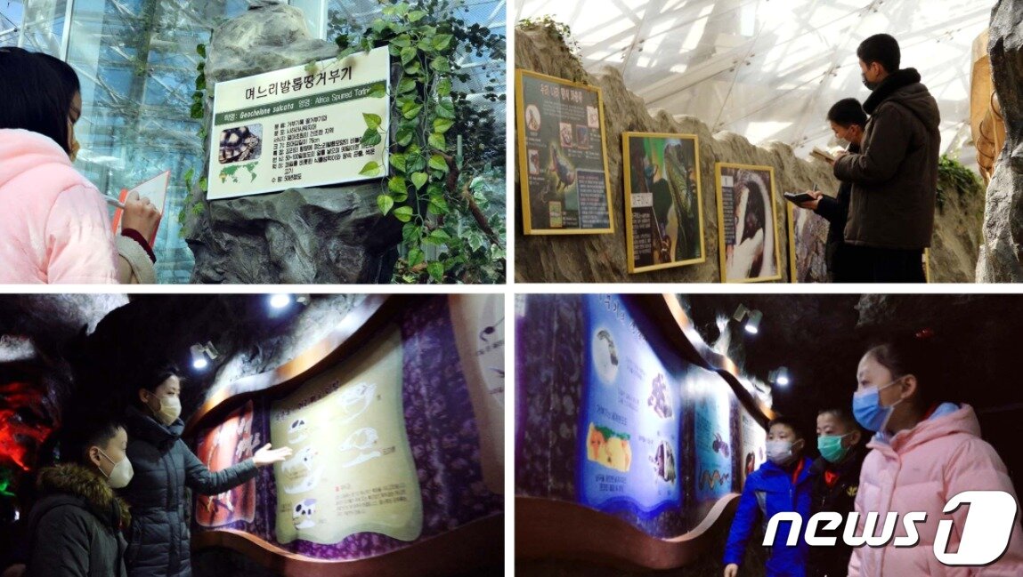 본문 이미지 - 북한의 유일한 동물원 '중앙동물원'.(조선의 소리 갈무리)ⓒ 뉴스1