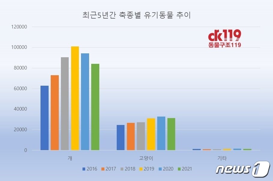 본문 이미지 - 2016년~2021년 동물보호관리시스템상 유실유기동물 통계(동물구조119 제공) ⓒ 뉴스1