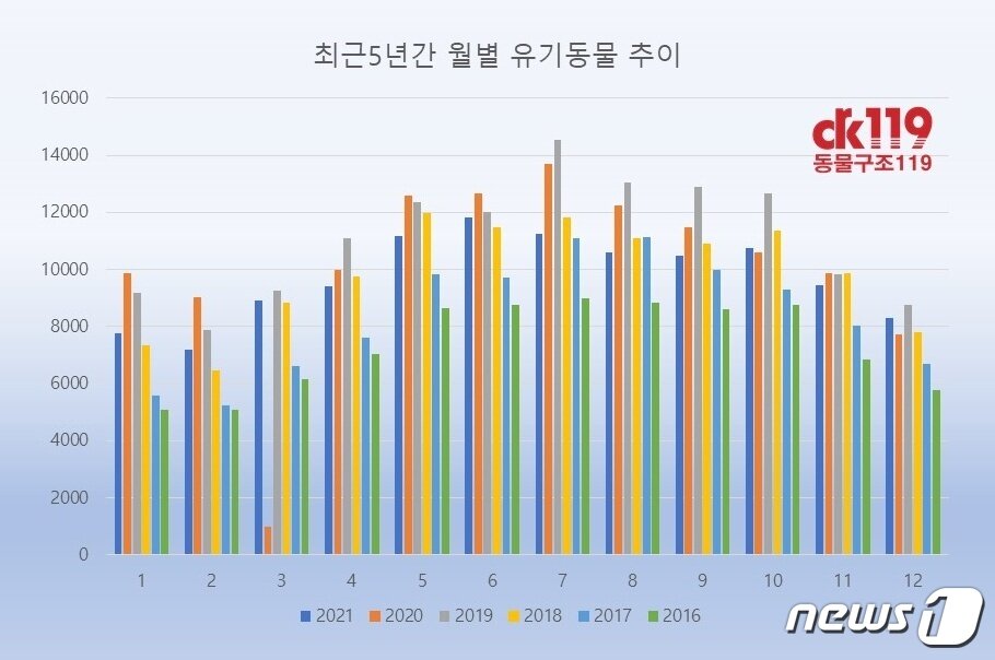 본문 이미지 - 2016년~2021년 동물보호관리시스템상 유실유기동물 통계(동물구조119 제공) ⓒ 뉴스1