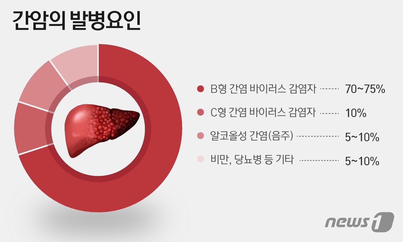 본문 이미지 - ⓒ News1 윤주희 디자이너