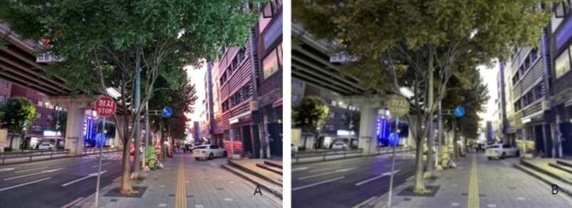 본문 이미지 - 사람의 시선으로 본 풍경(A)과 개의 시선으로 본 풍경(B). 개의 경우 녹색맹에 가깝우며 빨간색보다 녹색에 가까운 노란색을 구분할 수 있다.(김준영 교수 제공) ⓒ 뉴스1