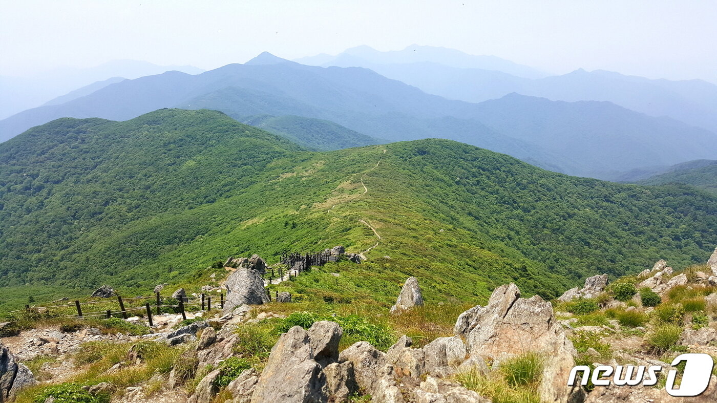 본문 이미지 - 덕유평전의 여름. 가까이 백암봉, 멀리 무룡산과 남덕유산, 그리고 더 멀리 지리산까지 조망되는 야생화 초원이다. 사진 이부영 ⓒ 뉴스1