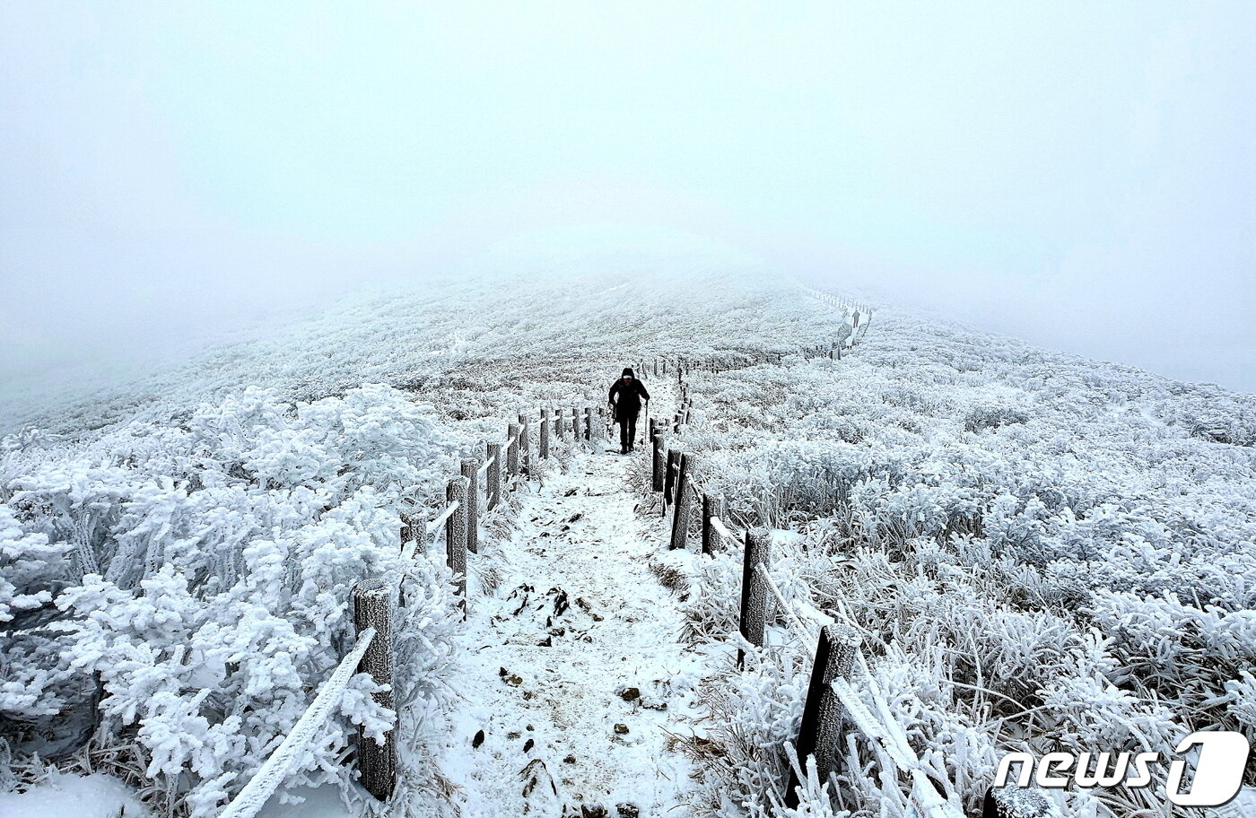 본문 이미지 - 덕유평전의 겨울. 키 큰 나무 없이 찬바람을 온 몸으로 맞으며, 상고대 설원을 올라서는 탐방객 ⓒ 뉴스1