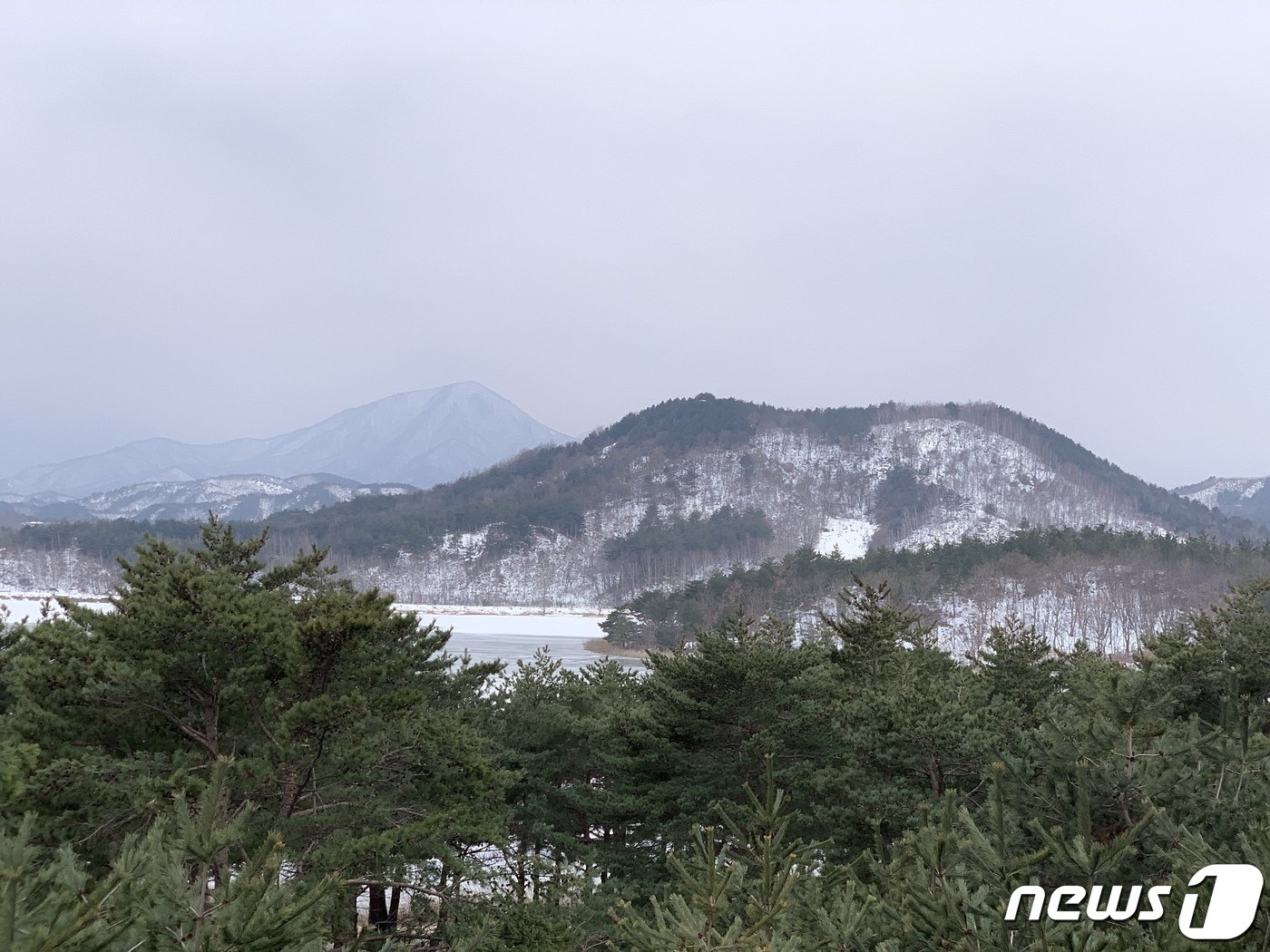 본문 이미지 - 새하얗게 얼어붙은 송지호ⓒ 뉴스1  