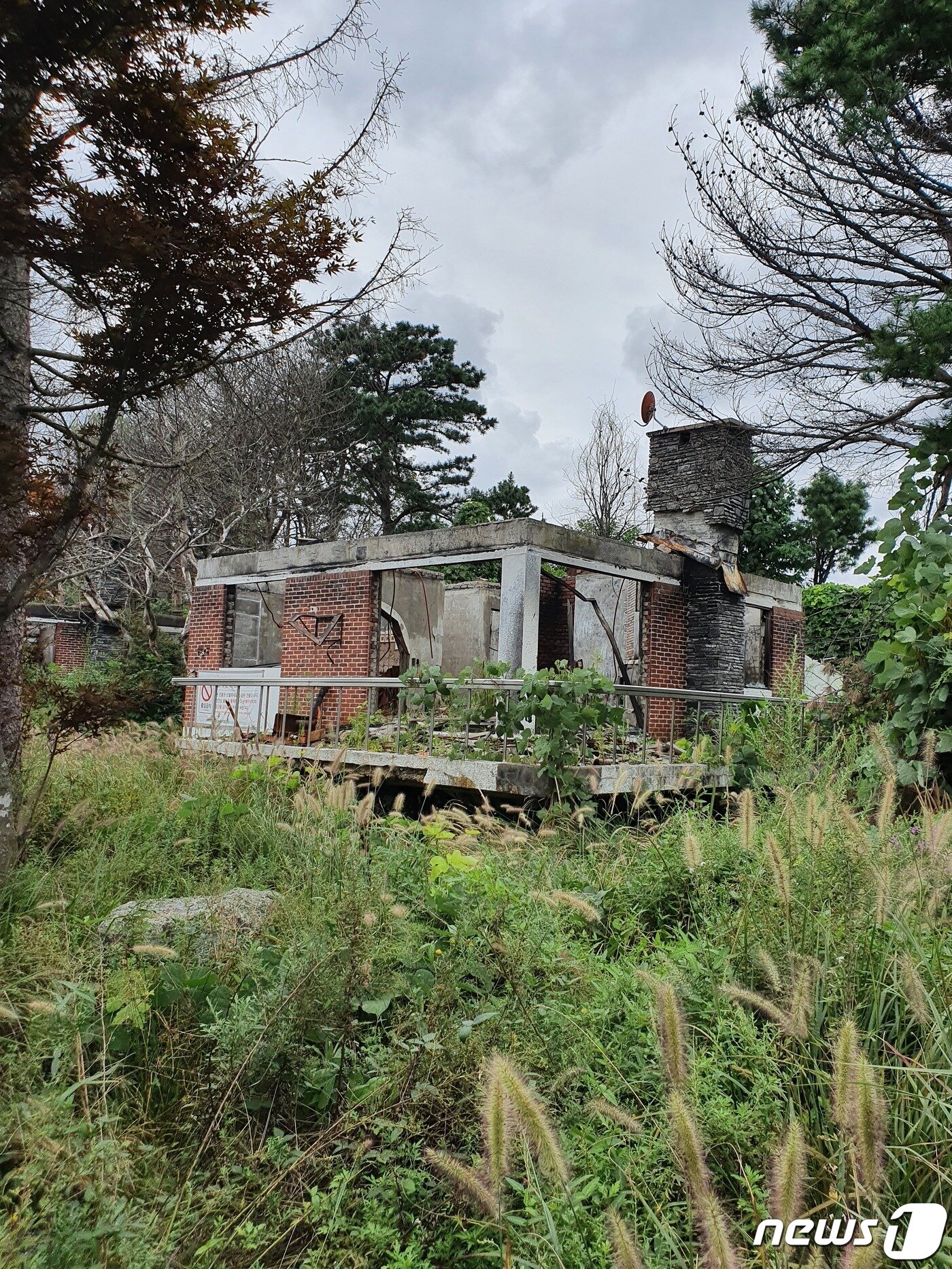 본문 이미지 - 2019년 동해안 대형산불로 훼손된 속초 영랑호리조트 별장형 콘도.2022.2.4/뉴스1