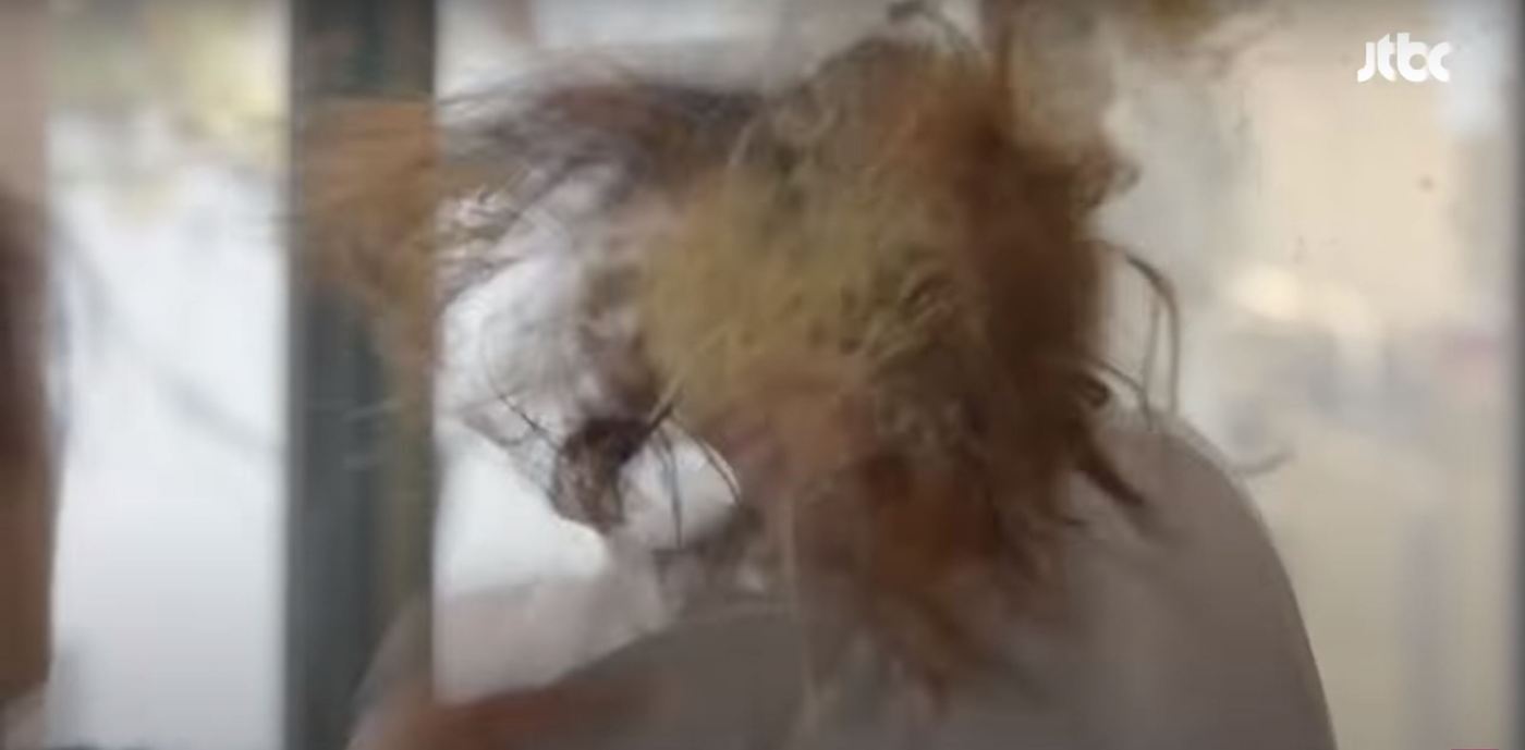 본문 이미지 - (사진=JTBC 드라마 <품위 있는 그녀> 캡처) ⓒ 뉴스1