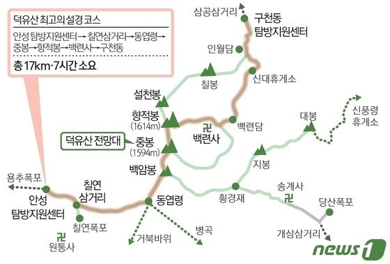본문 이미지 - ⓒ 뉴스1 김초희 디자이너