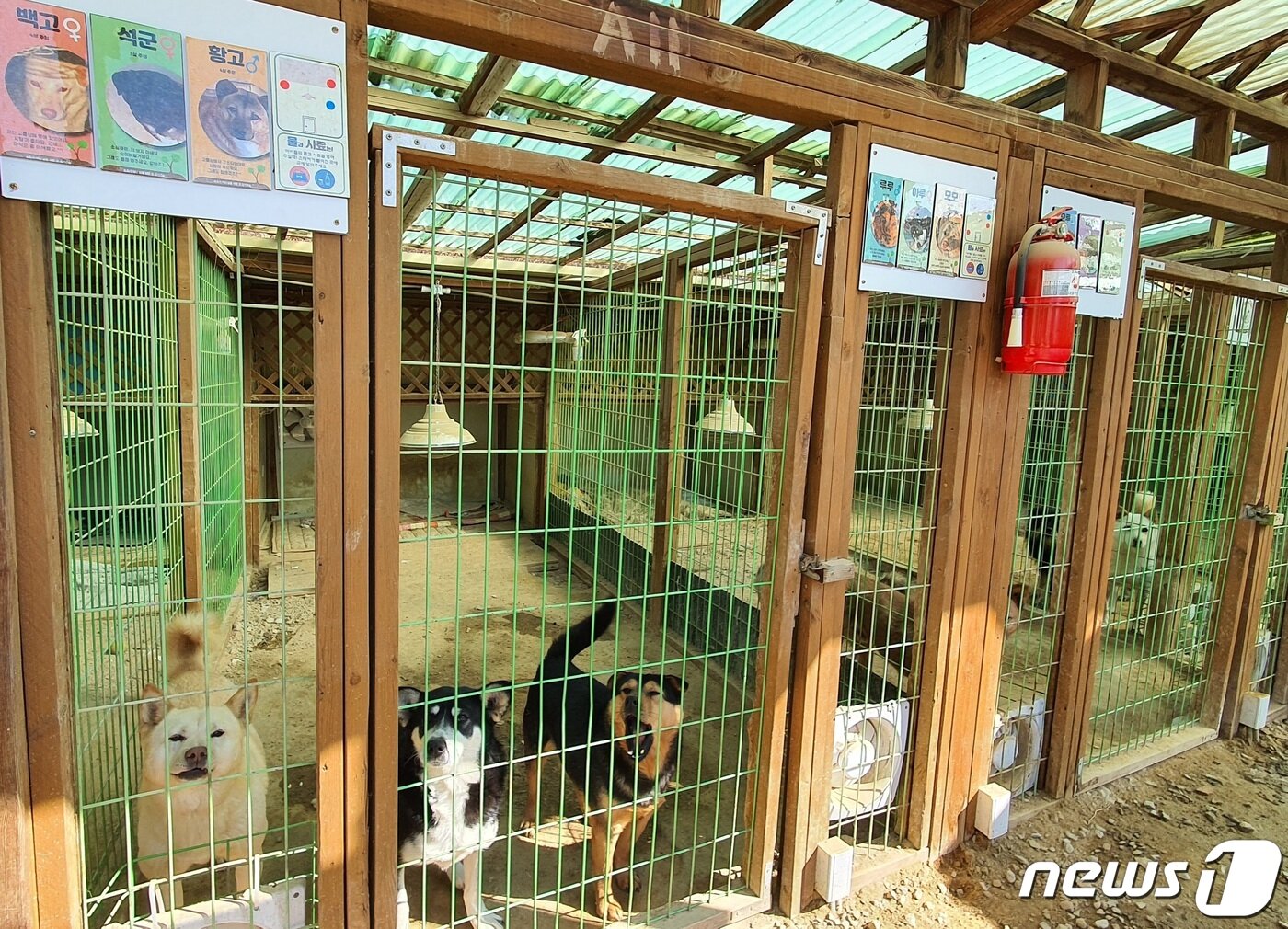 본문 이미지 - 사설 동물보호소 '유기견숲' 전경. 박준성 소장이 직접 난방시설을 설치하고 소화기도 비치했다. ⓒ 뉴스1 최서윤 기자