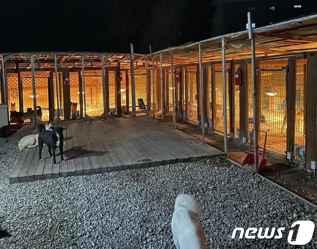 본문 이미지 - 사설 동물보호소 '유기견숲' 전경. 박준성 소장이 직접 난방시설을 설치하고 소화기도 비치했다.(유기견숲 인스타그램) ⓒ 뉴스1