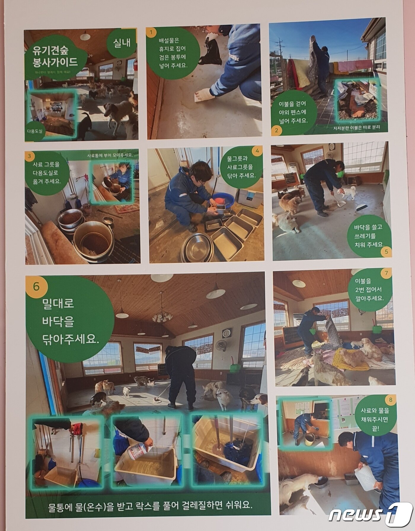 본문 이미지 - 유기견숲에는 봉사자들을 위한 가이드도 마련해 놨다. ⓒ 뉴스1 최서윤 기자