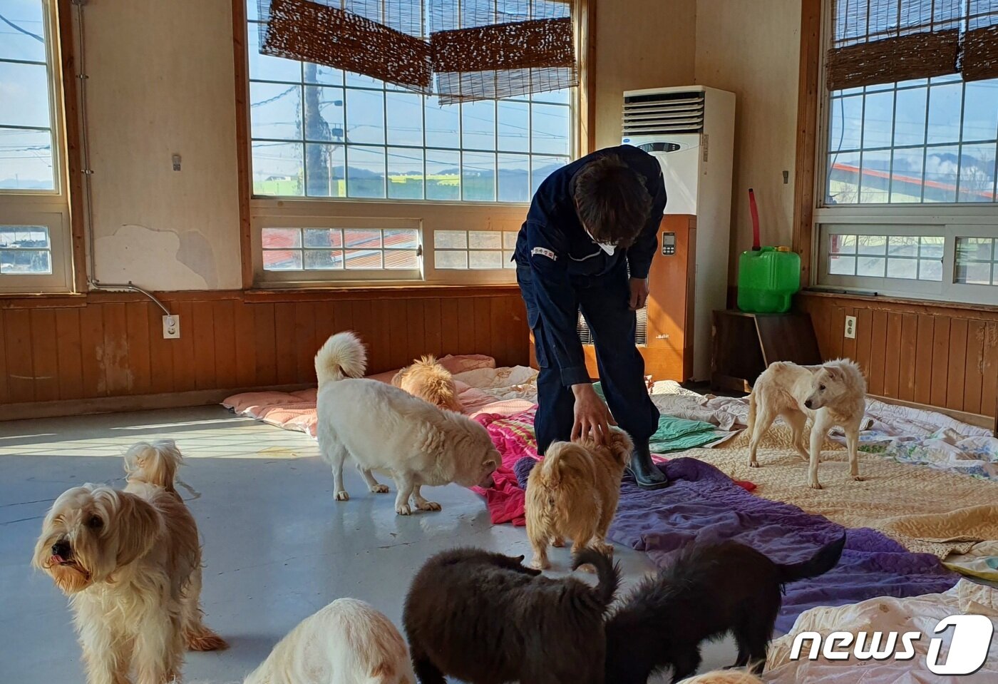 본문 이미지 - 4일 경기 이천시 유기견숲에서 박준성 소장이 개들을 쓰다듬고 있다. ⓒ 뉴스1 최서윤 기자