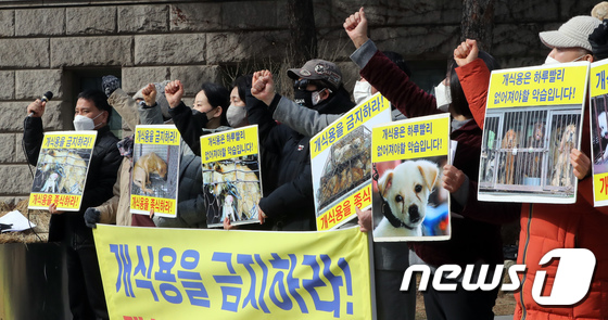 서울시의 개식용 금지 문화 조성에 관한 조례안 발의 환영하는 동물보호단체