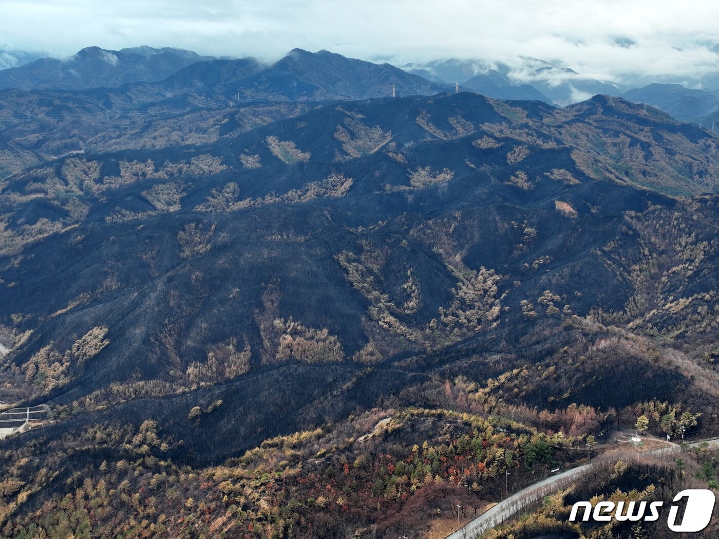 본문 이미지 - 13일 경북 울진군 북면에서 본 산들이 잿더미로 변해있다. 이번 산불 울진군은 1만8463ha가 불에 탔다. 산림당국은 13일 오전 9시를 기해 주불을 잡았다고 발표했다 2022.3.13/뉴스1 ⓒ News1 최창호 기자