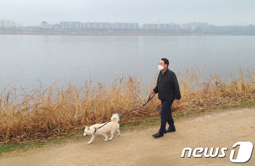 본문 이미지 - 윤석열 대통령 당선인이 13일 오후 서울 한강공원에서 반려견 토리와 함께 산책을 하고 있다. (윤석열 당선인측 제공) 2022.3.13/뉴스1 ⓒ News1 구윤성 기자
