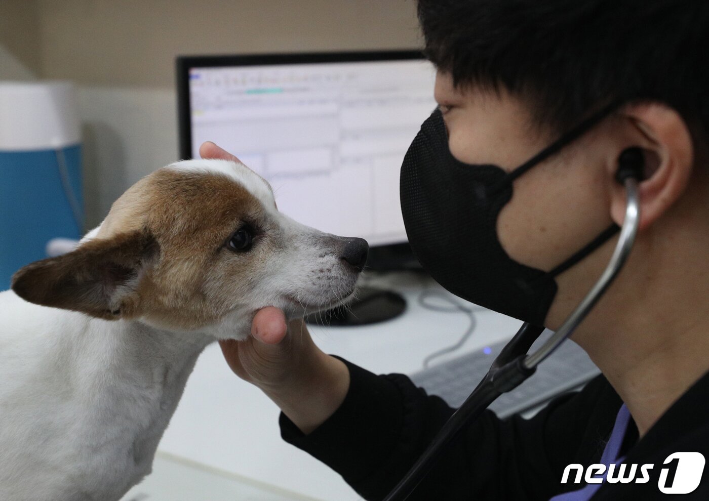 본문 이미지 - (사진은 기사 내용과 무관함) / 뉴스1 ⓒ News1