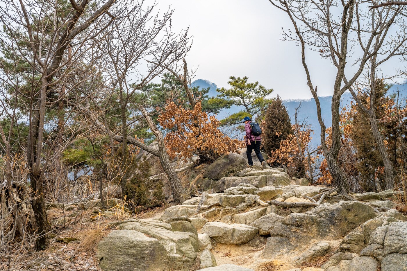 본문 이미지 - 진달래 능선의 바윗길 구간 
