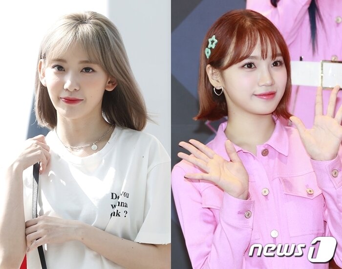 본문 이미지 - 미야와키 사쿠라(왼쪽), 김채원/뉴스1DB ⓒ 뉴스1