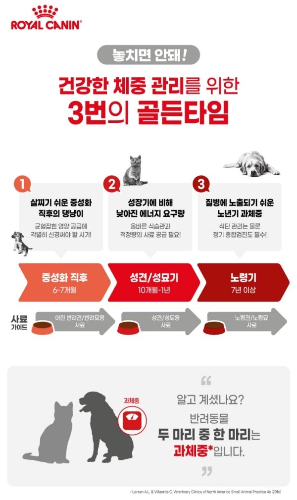 본문 이미지 - 반려견 비만은 각종 질병을 유발할 수 있어서 관리가 필요하다.(로얄캐닌 제공) ⓒ 뉴스1