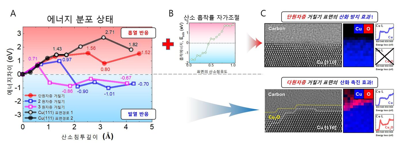 본문 이미지 - 표면 원자계단의 개수에 따라 산소가 구리속으로 침투하는데 필요한 에너지가 달라진다. 그림 A는 표면 원자계단이 한 층인 경우 산소침투는 흡열 반응이고 두층 이상인 경우 발열 반응을 함을 계산을 통해서 보여준다. 그림 B는 산소가 평탄한 구리 표면을 50% 이상 점유하면 스스로 산소를 밀어내는 자기-조절 기능을 가짐을 보이고, 그림 C 에서는 실제로 초평탄 면에는 산화면이 존재하지 않고 원자계단이 두 층 이상인 경우 산화층이 존재함을 실험적으로 보여준다. &#40;정세영 부산대학교 교수 제공&#41; 2022.03.16 /뉴스1