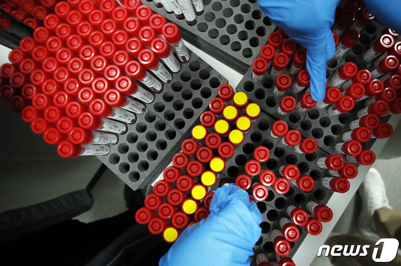 (광주=뉴스1) 정다움 기자 = 보건소 의료진이 16일 광주 북구 상시선별진료소에서 채취한 검체를 정리하고 있다.(광주 북구 제공)2022.3.16/뉴스1