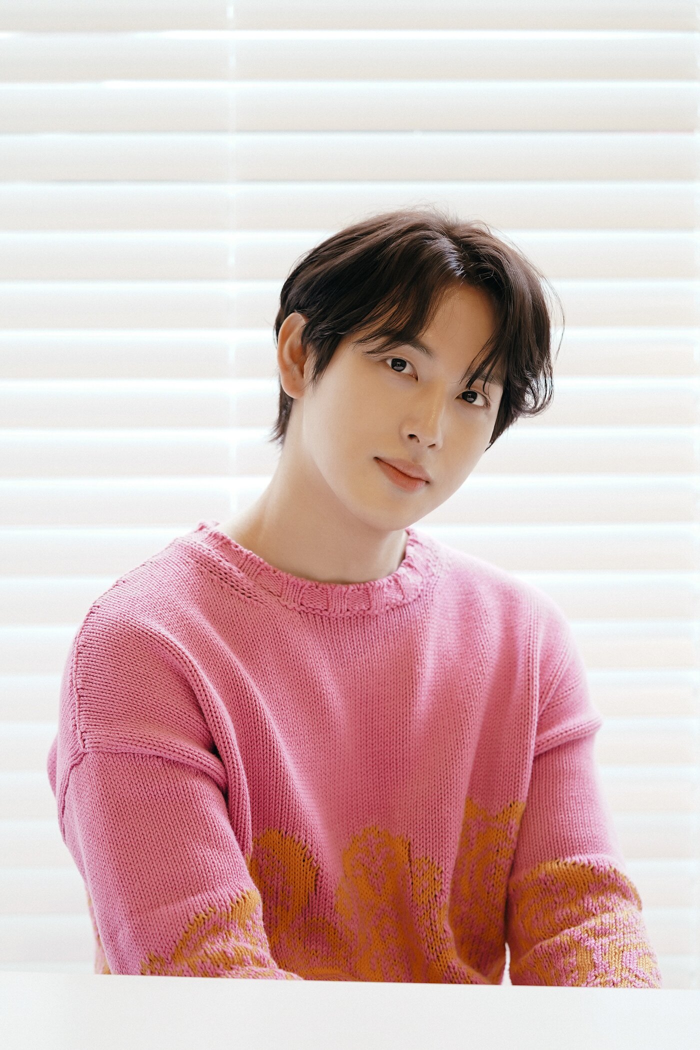 본문 이미지 - 임시완/플럼에이앤씨 ⓒ 뉴스1