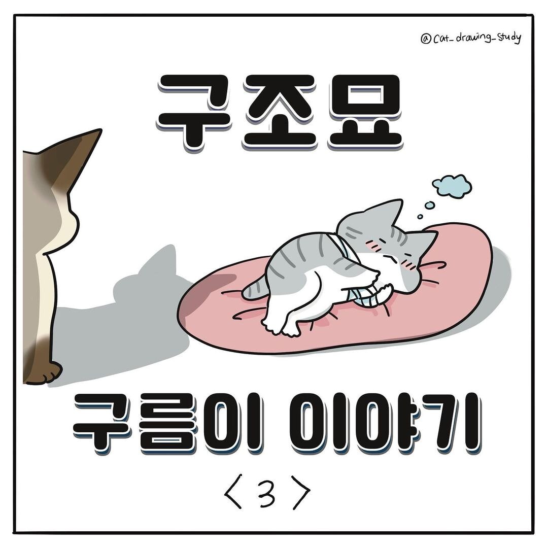 본문 이미지 - 고양이그림공부(최아름 수의사 제공) ⓒ 뉴스1