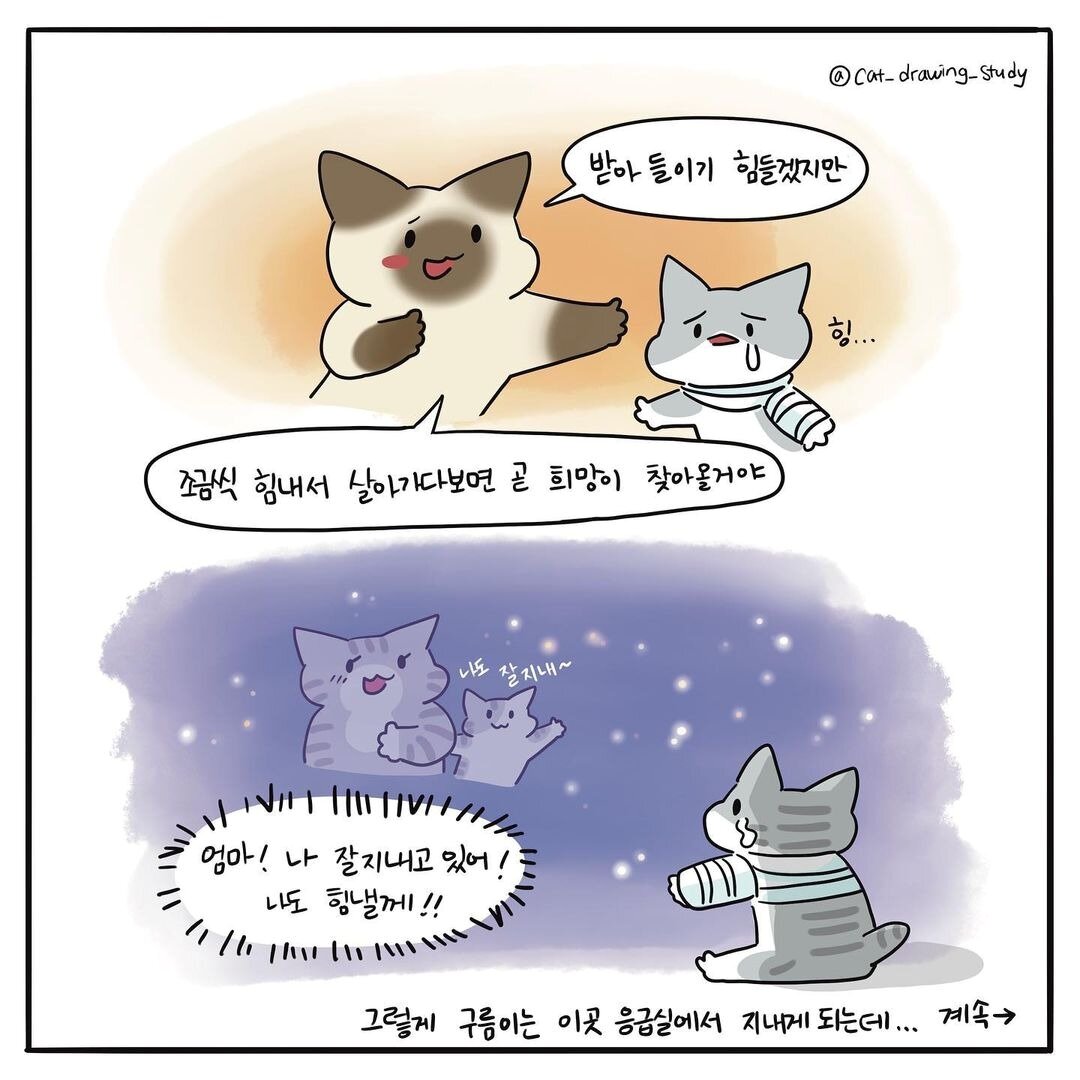 본문 이미지 - 고양이그림공부(최아름 수의사 제공) ⓒ 뉴스1
