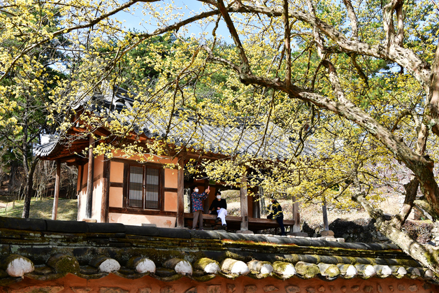 전남 대표 관광지·축제 12개, 문체부 '로컬 100' 선정