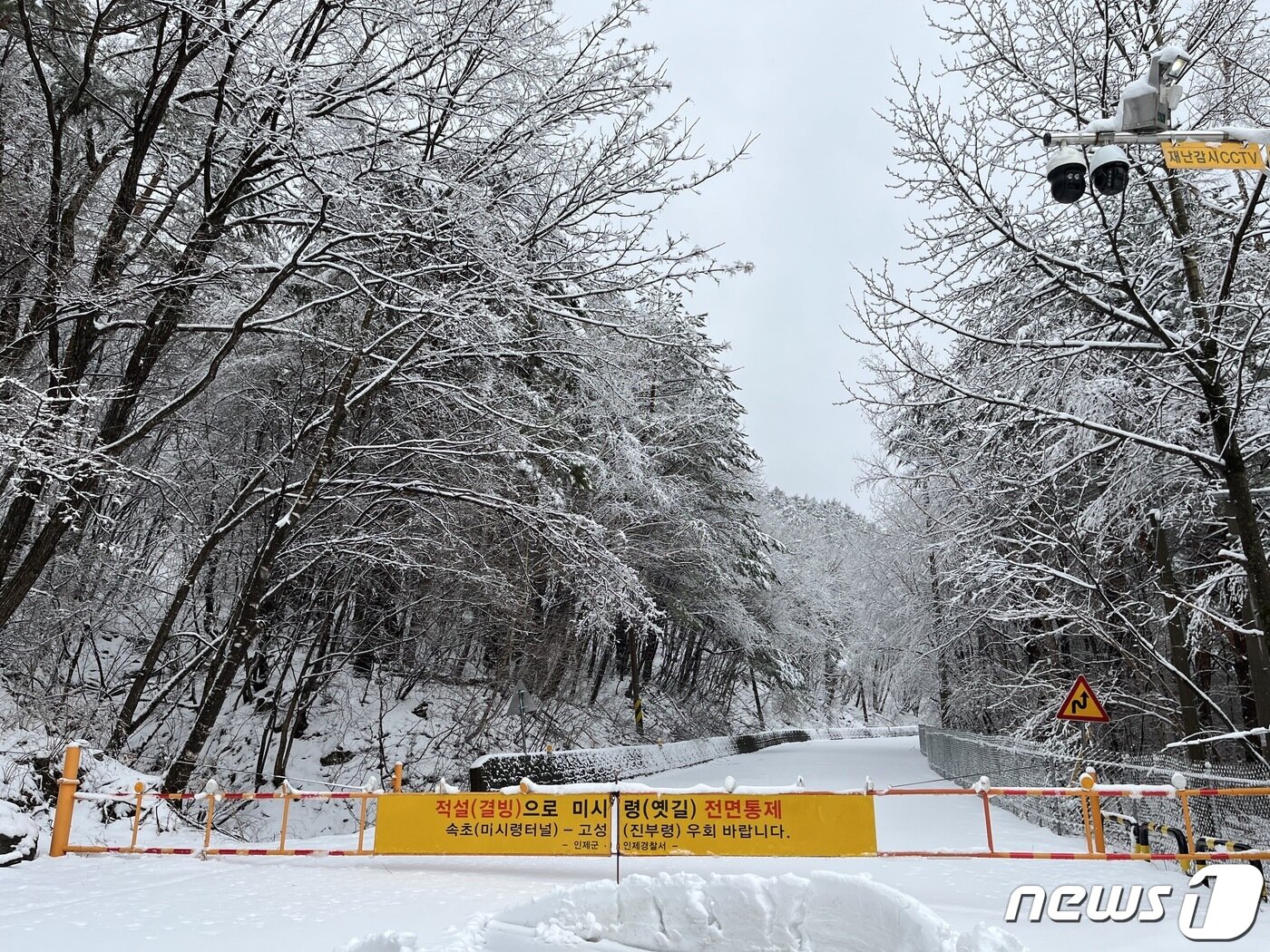 본문 이미지 - 인제군 북면 미시령 옛길 일대에 쌓인 눈(자료사진)/ ⓒ News1