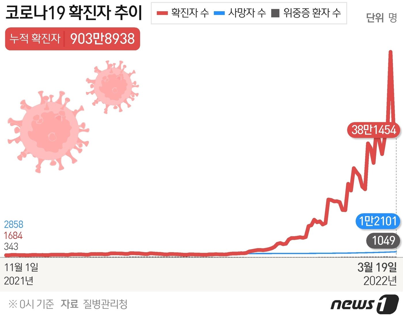 본문 이미지 - ⓒ News1 윤주희 디자이너