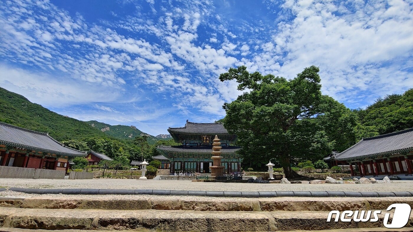 본문 이미지 - 도갑사 전경. 도선국사가 창건한 천년 고찰에 해탈문(국보), 5층석탑(보물) 등의 많은 문화재가 있다. 사진 김병창 ⓒ 뉴스1