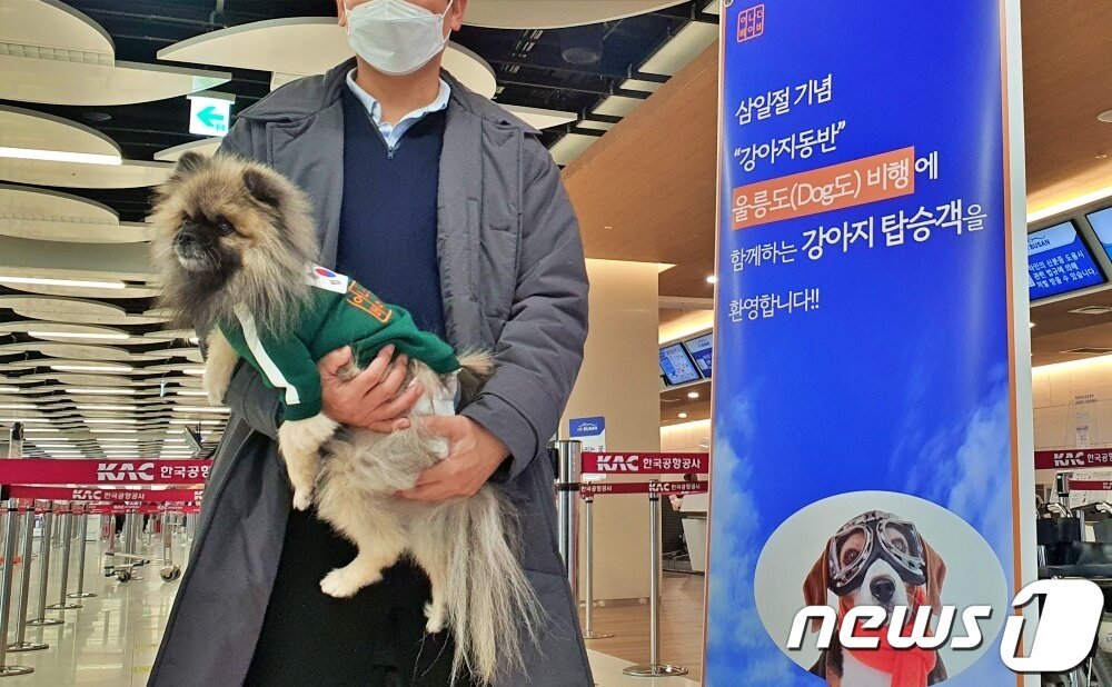 본문 이미지 - 어나더베이비는 1일 '반려견과 함께하는 3.1절 기념 울릉도(DOG도) 비행' 행사를 주최했다. 한 탑승객이 기저귀를 찬 강아지와 기념촬영을 하고 있다. ⓒ 뉴스1 최서윤 기자