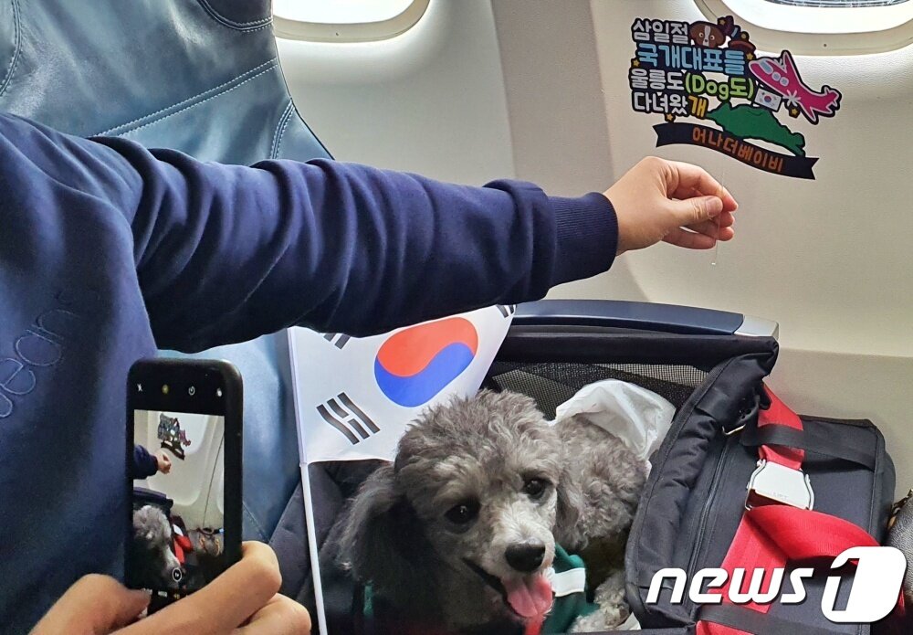 본문 이미지 - 어나더베이비는 1일 '반려견과 함께하는 3.1절 기념 울릉도(DOG도) 비행' 행사를 주최했다. 한 탑승객이 독도를 지날 때 태극기와 함께 강아지 사진을 찍고 있다. ⓒ 뉴스1 최서윤 기자