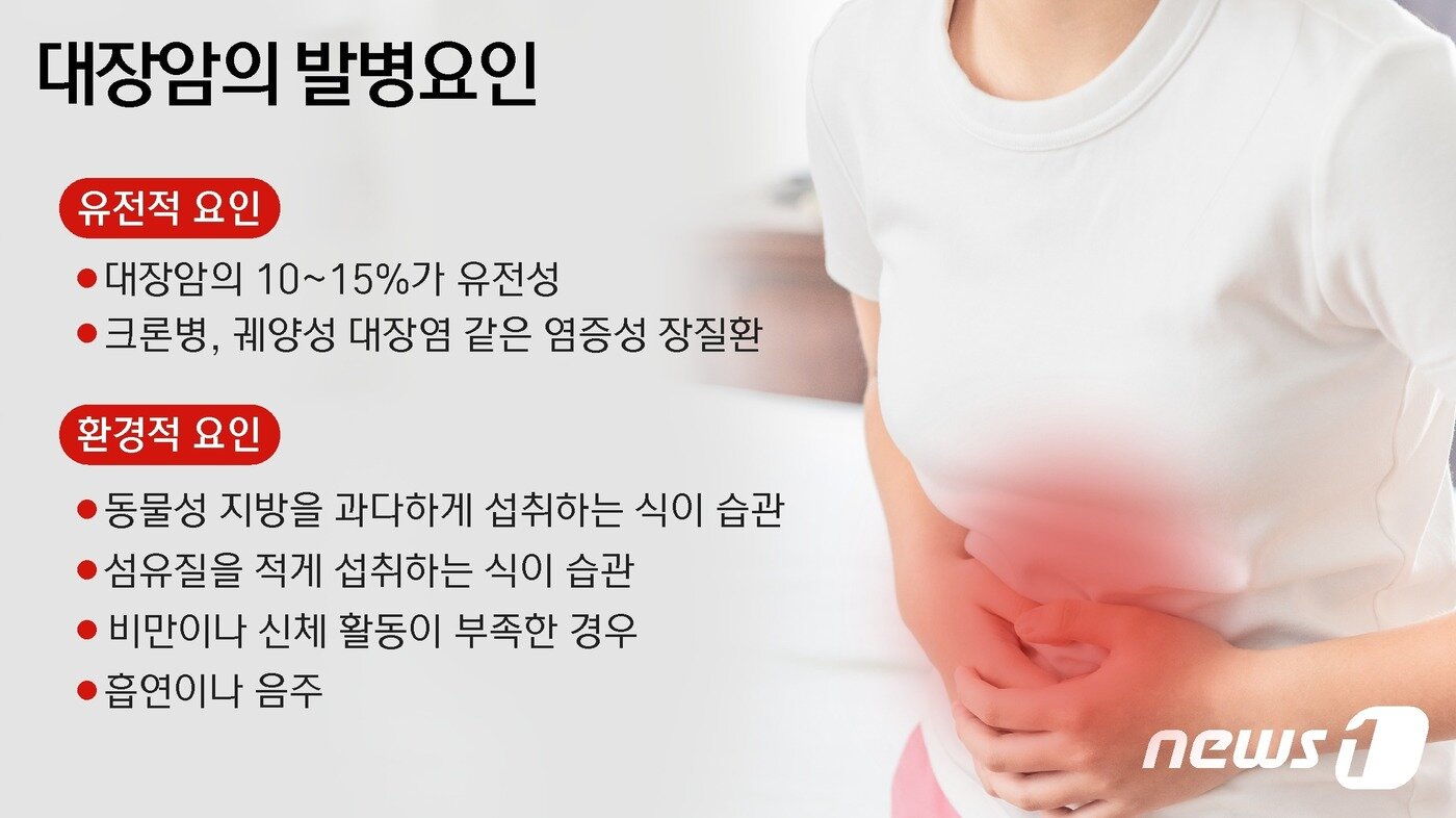 본문 이미지 - ⓒ News1 윤주희 디자이너
