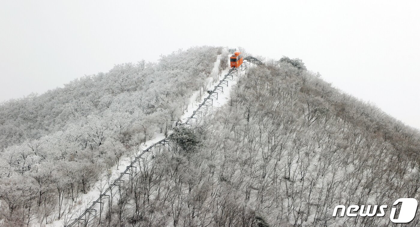 본문 이미지 - 절기상 춘분을 하루 앞둔 20일 경남 함양군 병곡면 대봉산 휴양밸리에서 관광객이 모노레일을 타며 하얀 눈을 구경하고 있다. (함양군 김용만 제공) 2022.3.20/뉴스1